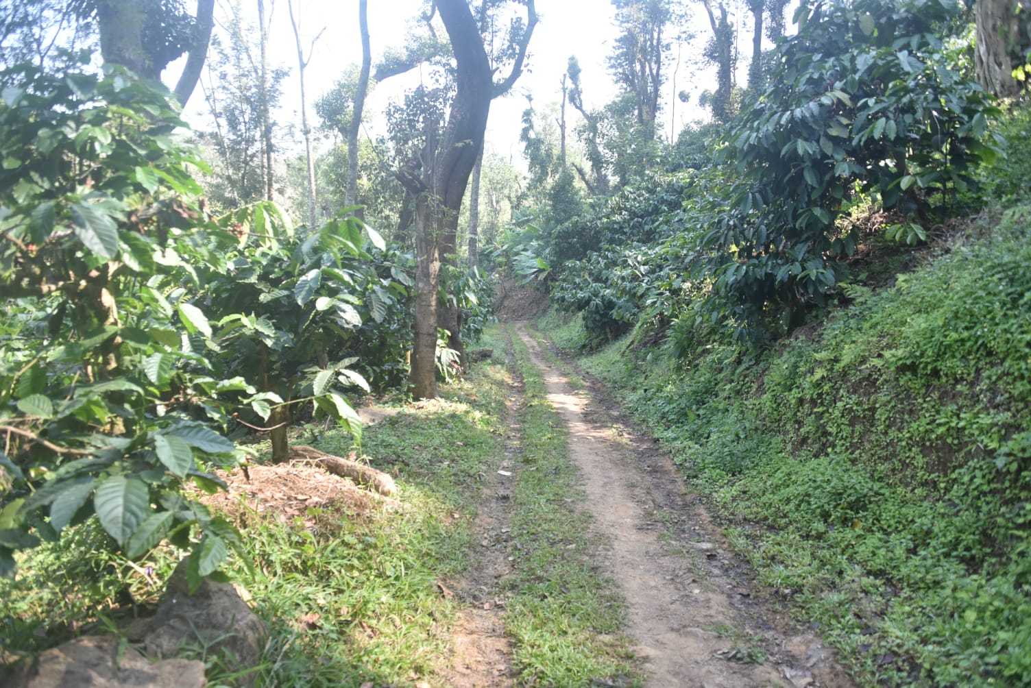 Experiences exp path